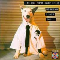 [Rick Springfield  Album Cover]
