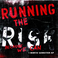 [Running The Risk  Album Cover]