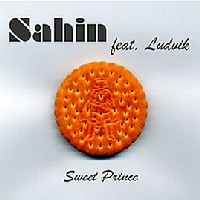 [Sahin feat. Ludvik  Album Cover]