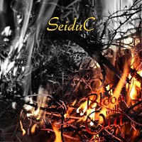 [SeiduC  Album Cover]
