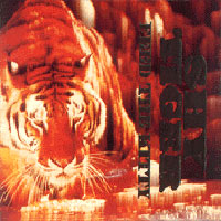 [Shy Tiger  Album Cover]