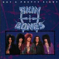 [Skin and Bones  Album Cover]