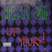 [Slingshot Kitty  Album Cover]