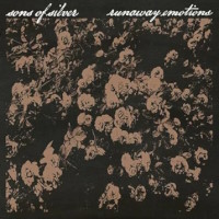 [Sons of Silver  Album Cover]