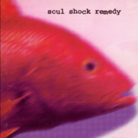 [Soul Shock Remedy  Album Cover]