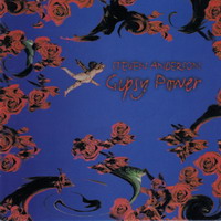 Steven Anderson Gipsy Power Album Cover