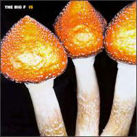 [The Big F  Album Cover]