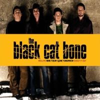 [The Black Cat Bone  Album Cover]