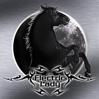 [The Electric Lady  Album Cover]