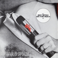 [The Roxx  Album Cover]