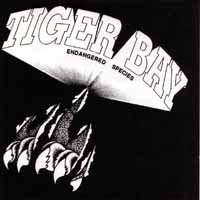 [Tiger Bay  Album Cover]