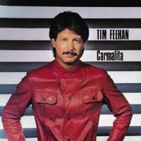 [Tim Feehan  Album Cover]