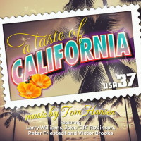 [Tom Hansen  Album Cover]