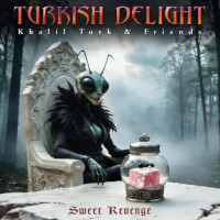 Turkish Delight Sweet Revenge Album Cover