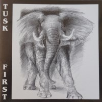 [Tusk  Album Cover]