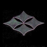 Union Union Album Cover