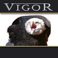 [Vigor  Album Cover]