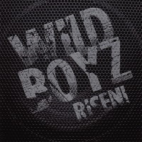 [Wild Boyz  Album Cover]