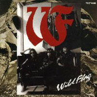 [Wild Flag  Album Cover]