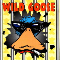 [Wild Goose  Album Cover]
