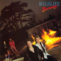 [Wildlife  Album Cover]