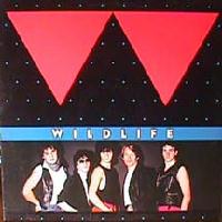 [Wildlife  Album Cover]