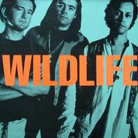 [Wildlife  Album Cover]