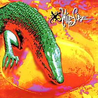 [Wildside  Album Cover]