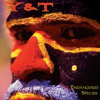 [Y and T  Album Cover]