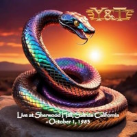 [Y and T  Album Cover]